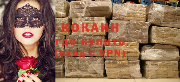 стаф Семилуки