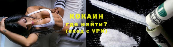 стаф Семилуки