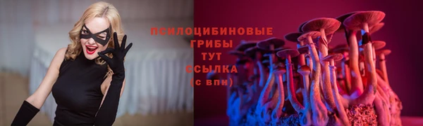 дмт Семикаракорск
