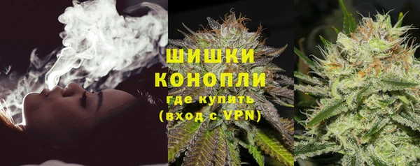 стаф Семилуки