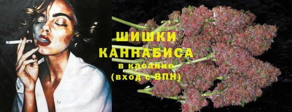 стаф Семилуки