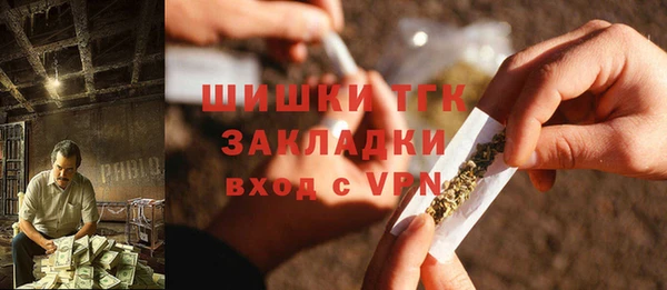 стаф Семилуки