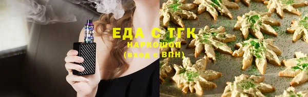 МДПВ Каменногорск