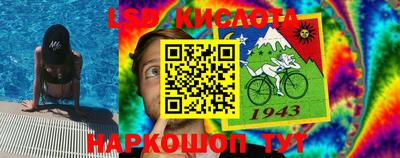 прущие грибы Камышлов