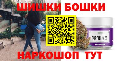 прущие грибы Камышлов