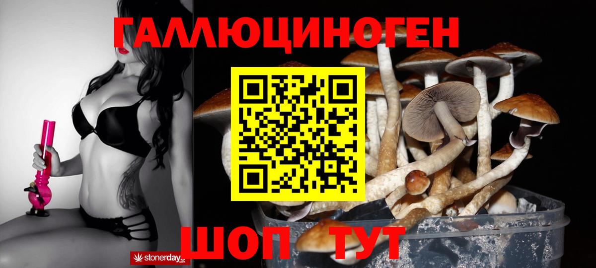 Псилоцибиновые грибы MAGIC MUSHROOMS  Галлюциногенные грибы Magic Shrooms  Вход с VPN  Соль-Илецк 