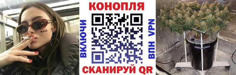 мега ССЫЛКА  Соль-Илецк  Конопля White Widow 